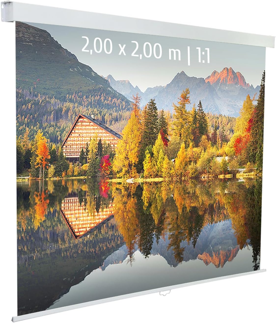 Écran de projection, 176 × 7, 5 × 8, 5 cm, réglable, KIMEX, 2, 00 × 2, 00m, 200 × 200cm, Format 1:1