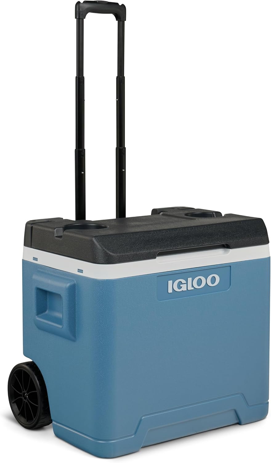 Igloo Glacière, 42 l, IP42, 42L