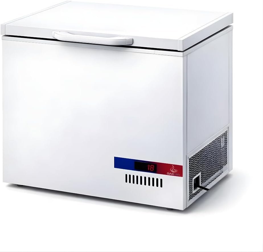 GASFRIT Congélateur, 150 L, 246 L, 350 L, 450 L, 30 °C, 150 à 450 litres, Installation gratuite, Classe énergétique B